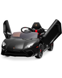 Lamborghini Aventador SV-Black